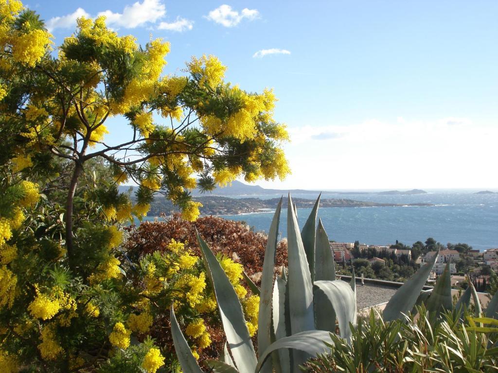 Residence Le Bosquet Bandol Bagian luar foto